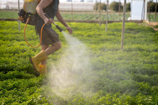 Best Pest Control Near Me  in Elgin, OR