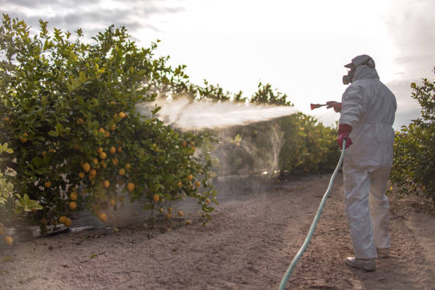 Best Best Pest Control Companies  in Elgin, OR