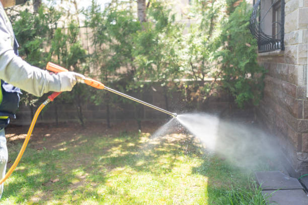 Best Pest Control Near Me in Elgin, OR