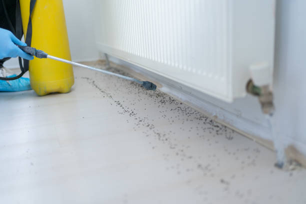 Best Affordable Pest Control Services  in Elgin, OR
